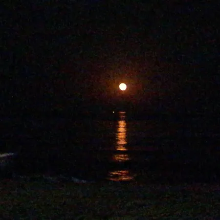 Playa Carihuela * トレモリノス
